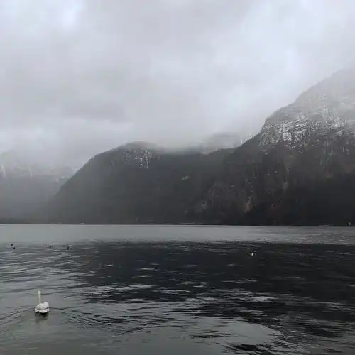 优美图,朋友圈背景图,高清,唯美,气质,清新