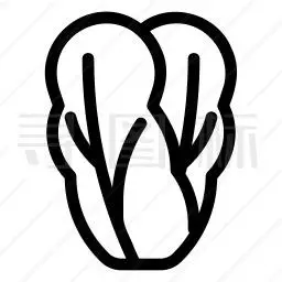 白菜图标
