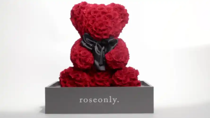 【诺誓玫瑰熊嫣红 30cm】roseonly(诺誓)高端定制永生