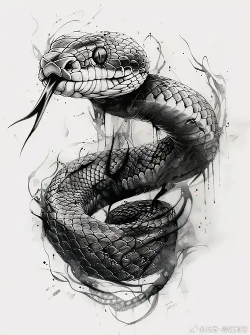图案分享    蛇纹身    #纹身分享##纹身设计##北京纹身店##纹身素材