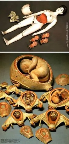 日本流行十大最变态的玩具图