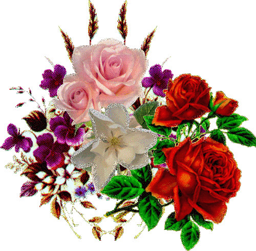 动态图片3-花瓣网|陪你做生活的设计师