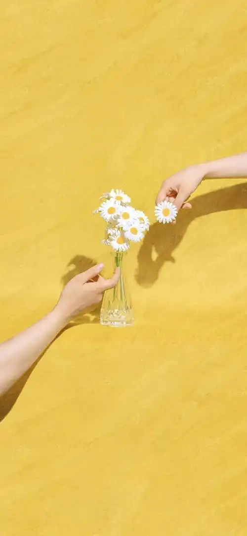 清新脱俗的壁纸看着人心情的都会变好