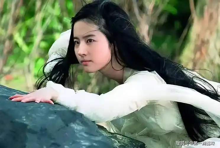 刘亦菲,与王力宏一起主演了爱情电影《恋爱通告》,在影片中饰演宋晓青