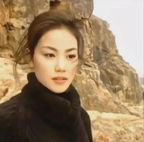 年轻时王菲的照片那时眉清目朗清冷无比带有一种锐气和高冷