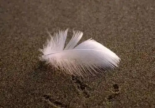 生活就是一地鸡毛