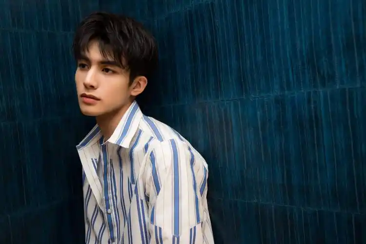 你觉着哪些男星属于浓颜系男星