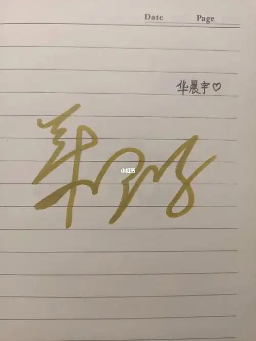 华晨宇签名投稿