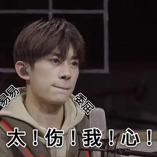 饭制易烊千玺表情包 抱走这只小可爱