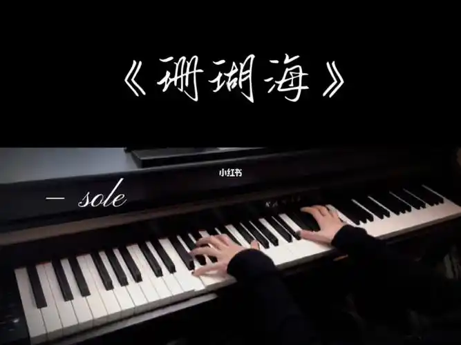 钢琴珊瑚海动听好弹版