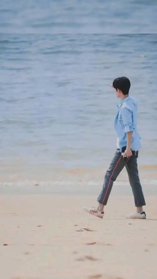 4张肖战照片混入1张王一博真爱粉三秒认出cp粉傻傻分不清