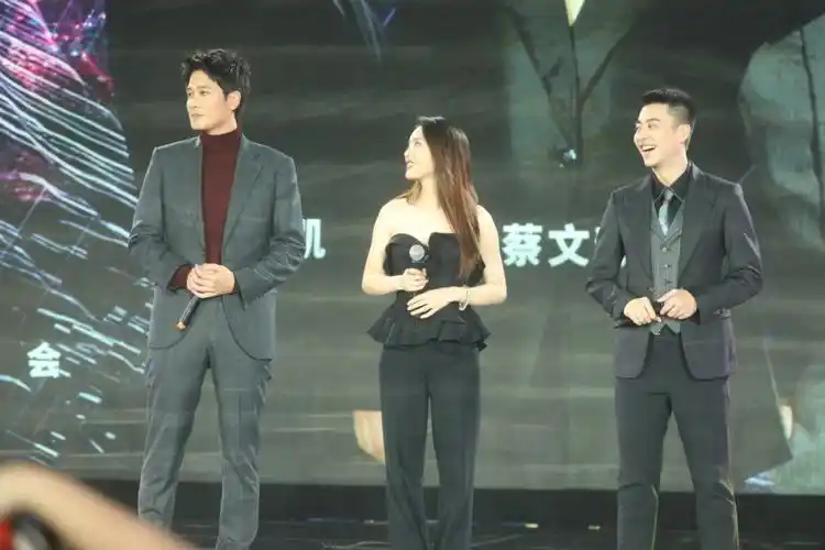 彭冠英  #蔡文静  #刘凯