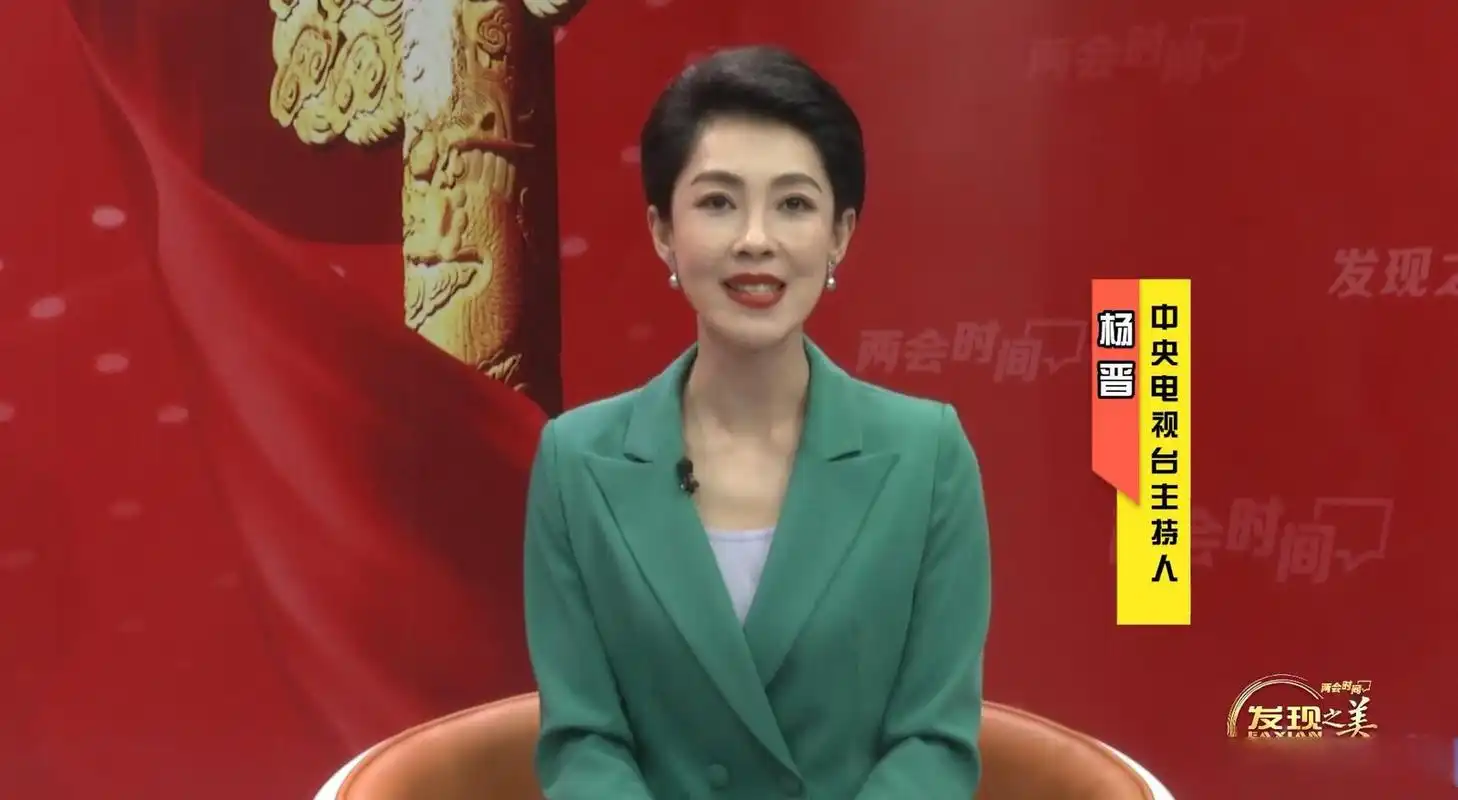 《发现之美系列人物访谈》栏目开场,央视著名财经主持人杨晋,对高国际