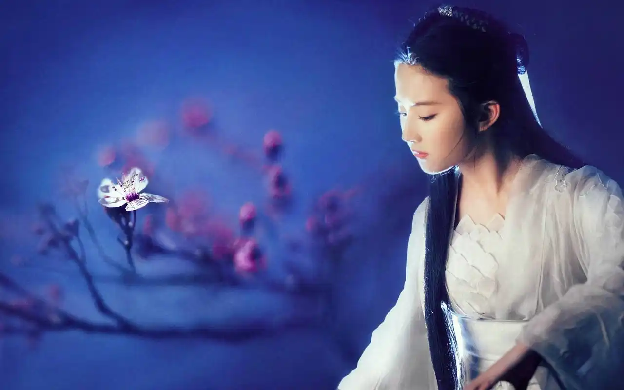 小龙女造型大pk,没想到毛晓慧小龙女造型最像刘亦菲