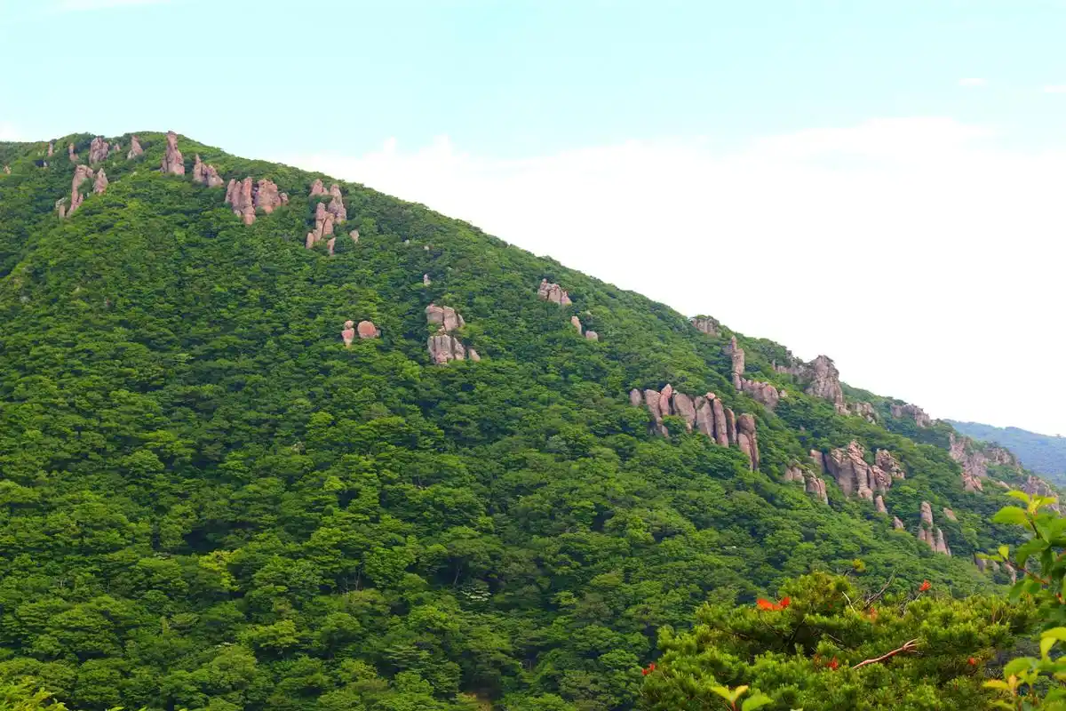 奔赴春天的旅行# 春游福寿山位于伊犁哈萨克自治州的大西沟,是一讣