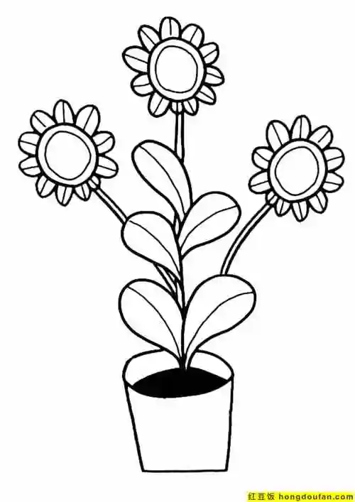 10张适合初学者学习的向日葵卡通儿童简笔画