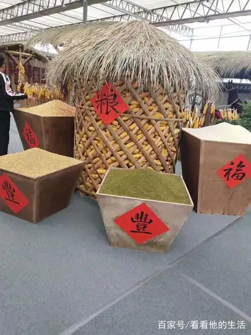 现代化新农村举办的农家乐,粮食,蔬菜囤满仓!