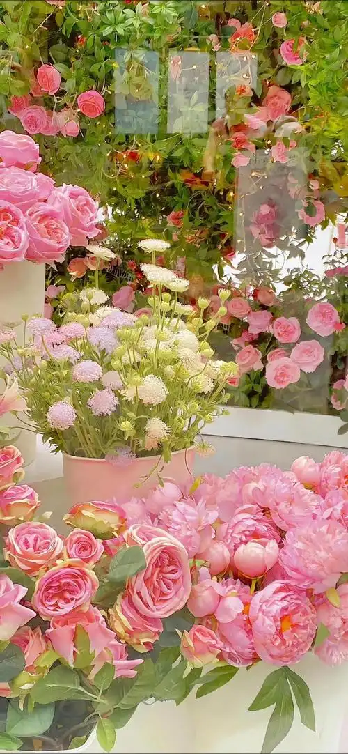 壁纸 | iphone原生高清壁纸(4k高清)