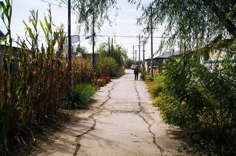 北方秋日小乡村 (共 28 p)