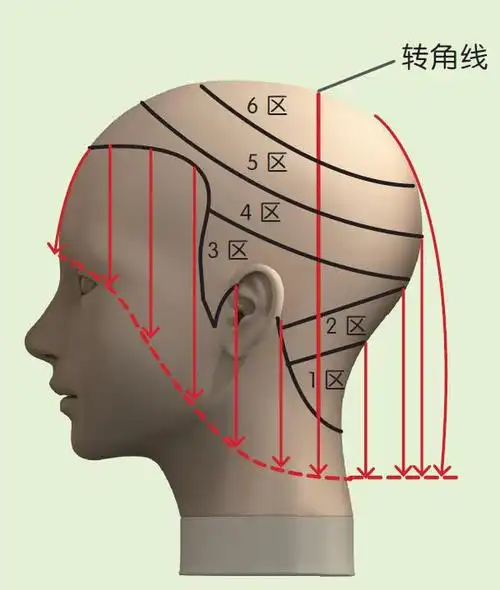 美发教程-学习圆形0°修剪步骤详解