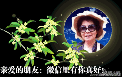 亲爱的朋友~~微信里有你真好