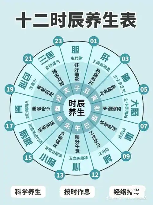 24小时中医养生