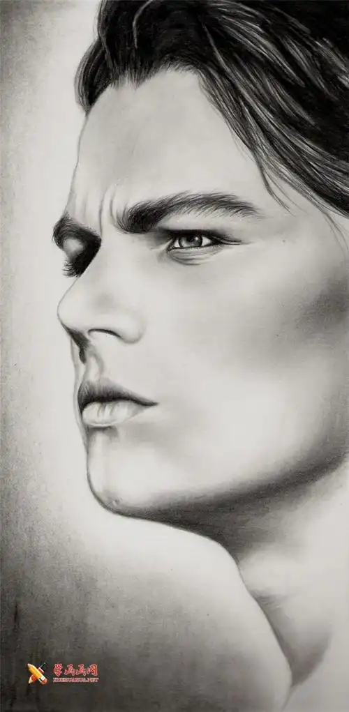 小李子(莱昂纳多)素描画欣赏