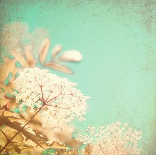 青绿色背景图片