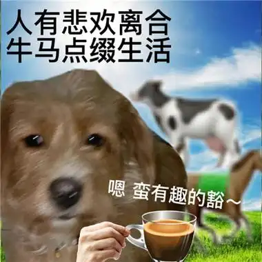 这么好玩的又很俏皮的狗狗发疯动漫表情真的很搞笑又很好玩哦,趣味型