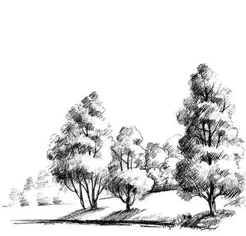 简笔画素描树怎么画