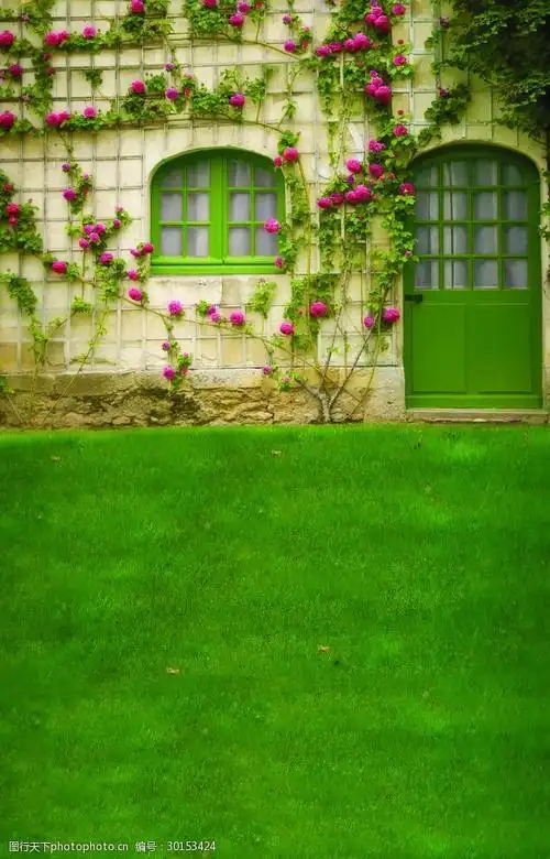 文化 欧式主题婚礼 教堂摄影 教堂素材 背景 建筑设计 复古 神圣 影楼