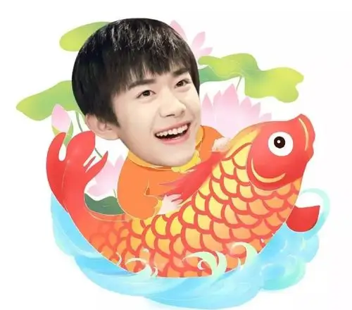 锦鲤小千在线保佑助你拿到易烊千玺2019玊尔演唱会门票