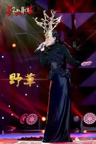 假行僧-野草(谭维维)