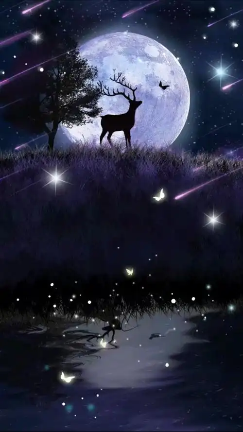 荧光- 堆糖,美图壁纸兴趣社区