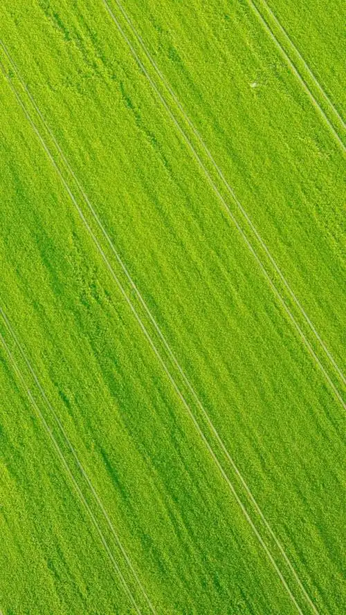 绿色背景图 养眼 微信 绿色背景图片 微信 养眼 - 网络编辑之家