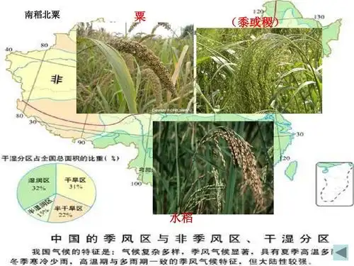 1.1.8 中华大地的远古人类 课件 北师大版七年级上册ppt