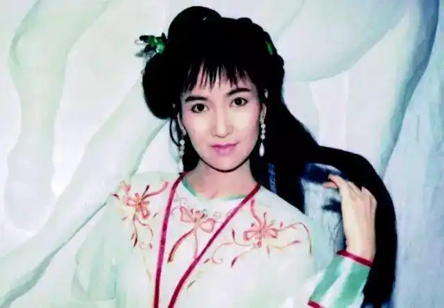 不堪羞辱与重负 陈美琪流产了 而且再也无法怀孕 更令人发指的是