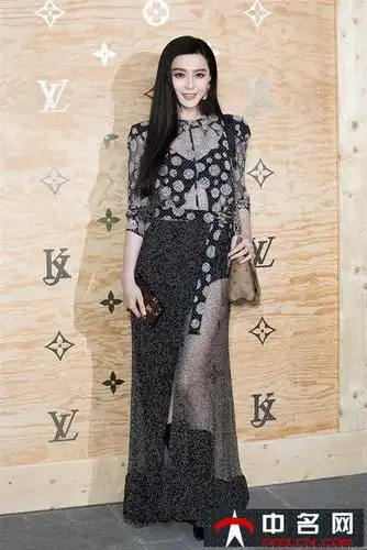范冰冰亮相卢浮宫黑色透视裙尽显优雅
