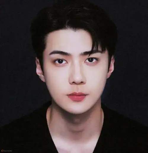 吴世勋dior全球品牌大使##吴世勋出演电影海盗2