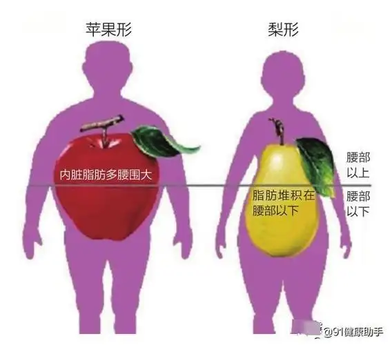 皮下组织脂肪也是好东西理智减肥才是王道
