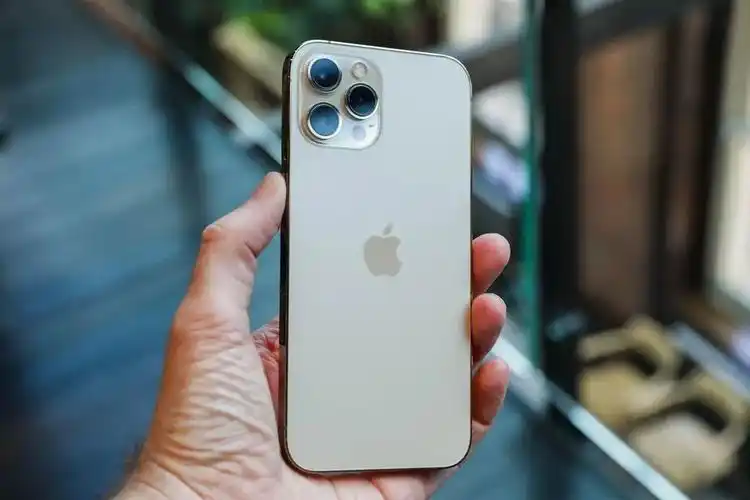 可出手了去年买iphone12pro的钱今年可买12promax