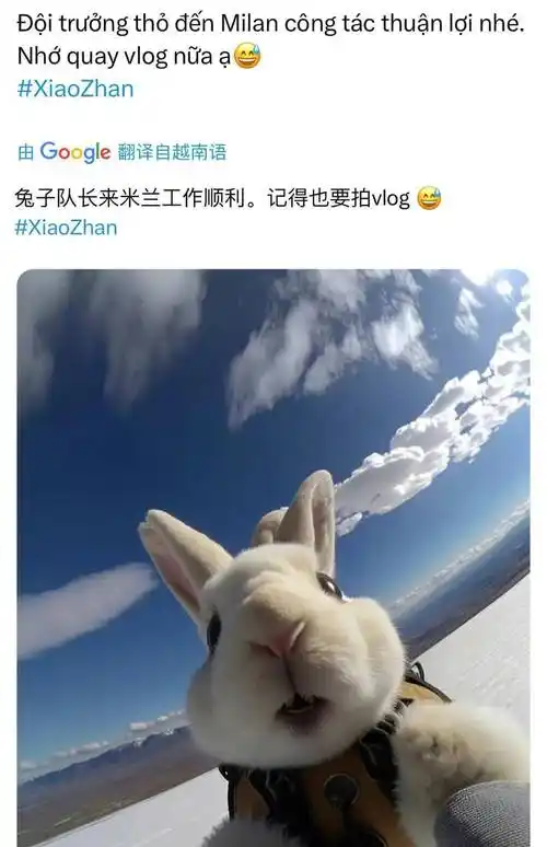 海外虾全球联动为肖战米兰时装周准备,全世界都是飞往米兰的兔子_球迷