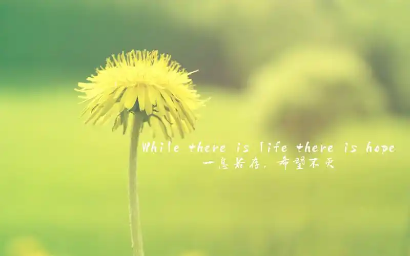 励志文字,简约壁纸,高清壁纸,文字壁纸,生活励志英文语录简约壁纸