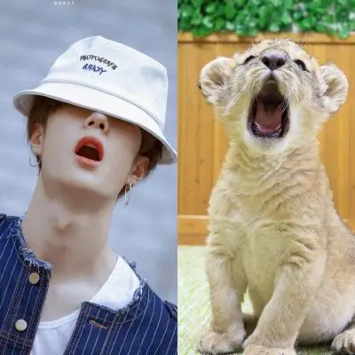 王一博就是只小狮子呀!