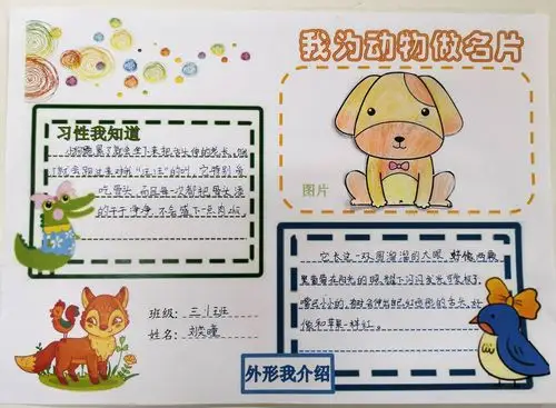 我们三年级的孩子们为自己喜欢的动物做了一张张精彩纷呈的动物名片