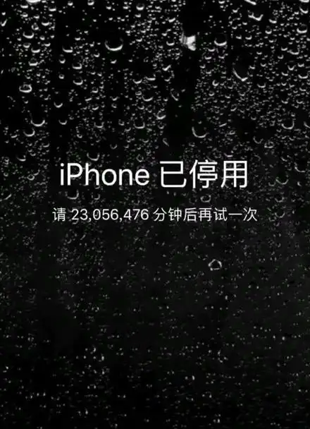 440_608竖版 竖屏