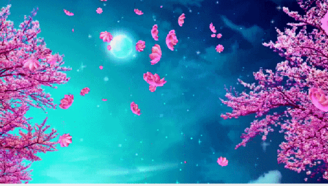 花开花谢自天意,花落人去两不知