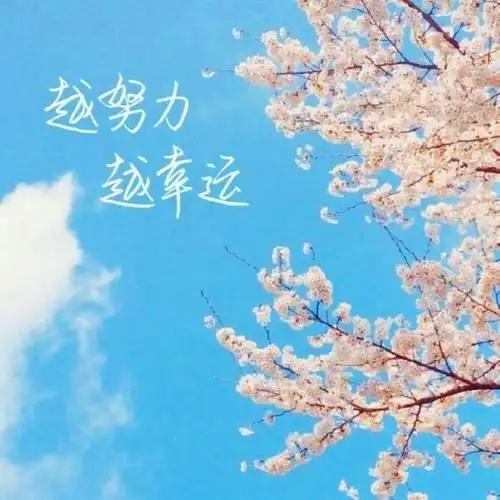 充满阳光正能量的头像 高清好看充满阳光朝气的微信头像图片_励志头像