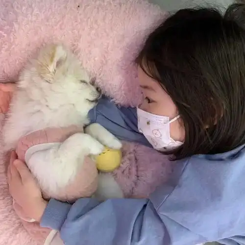 萌娃头像丨金雪可爱头像