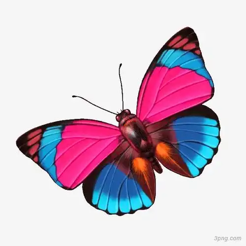 粉色清新蝴蝶装饰图案